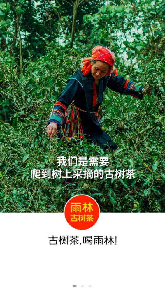 雨林易购app v6.1.11