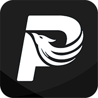 王者p图大师软件专业版 v2.9