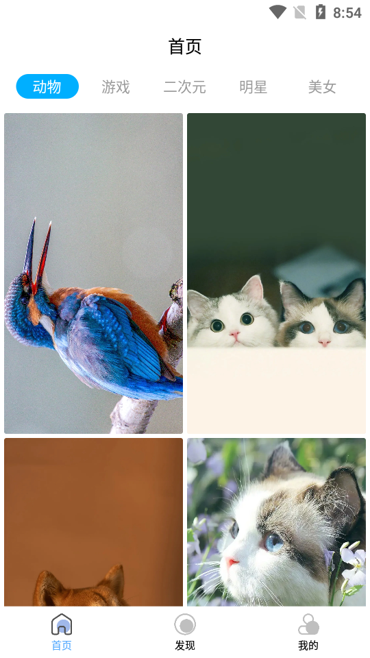 倾心壁纸app无广告版 v1.4.7