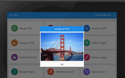 PDF转换器专业版(PDF Editor pro)
