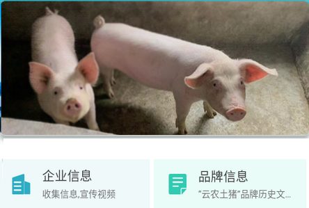 云农土猪APP 云农土猪APP