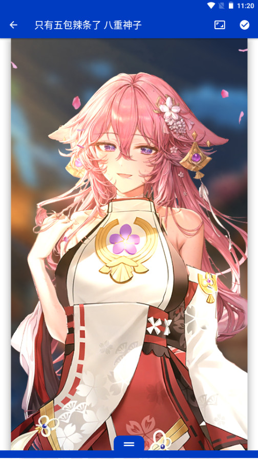 可透视壁纸原神资源包 v2.6.9