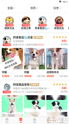 宠物市场app宠物交易平台 v7.6.1
