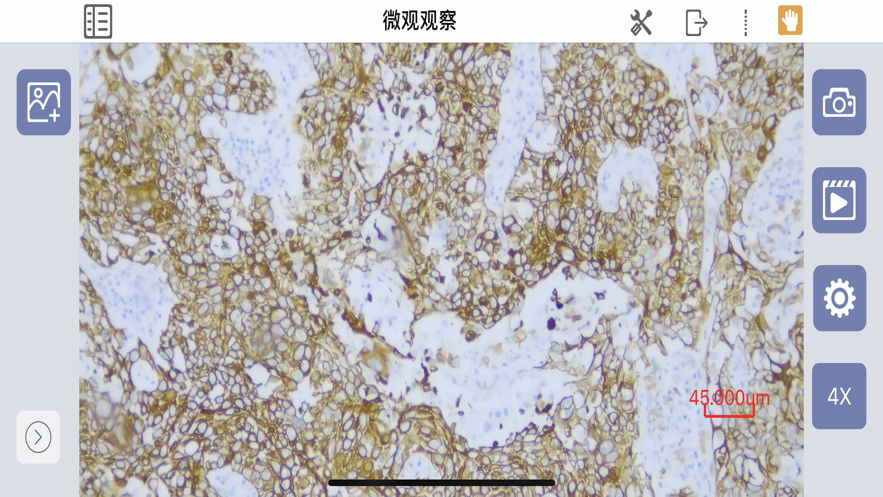 SMES软件下载安卓 v3.1.5