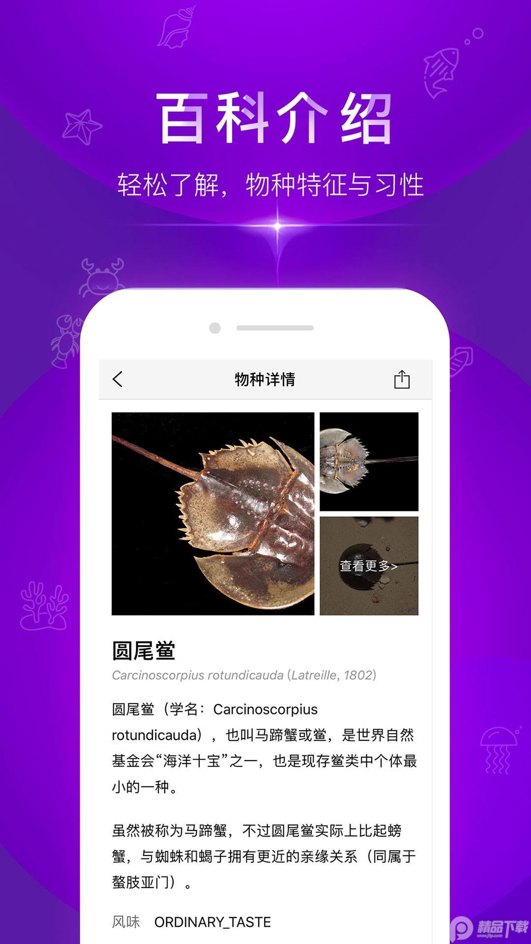 问鱼拍照识别海洋生物app v1.1.14