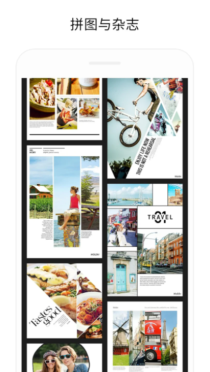moldiv安卓版免费 v3.5.5