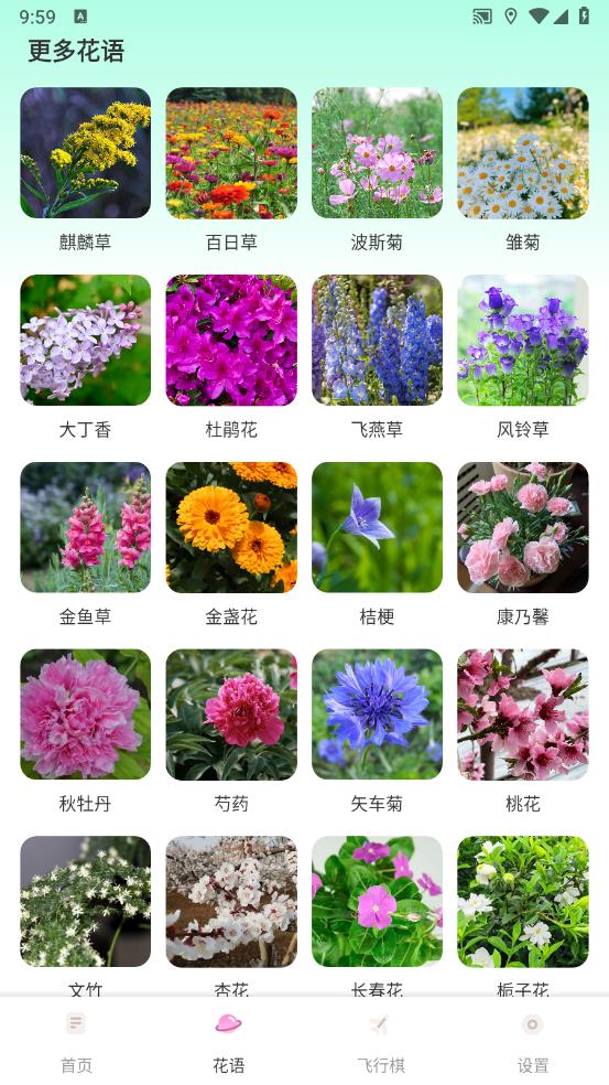 樱桃IMapp v1.0.5