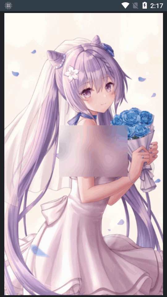 视频和图片打码软件 v4.9.5