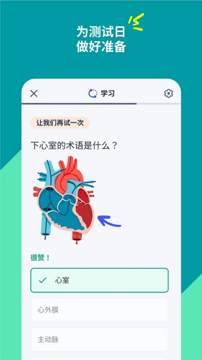quizlet英语app v10.0.1