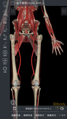 3DBody解剖 v8.8.41
