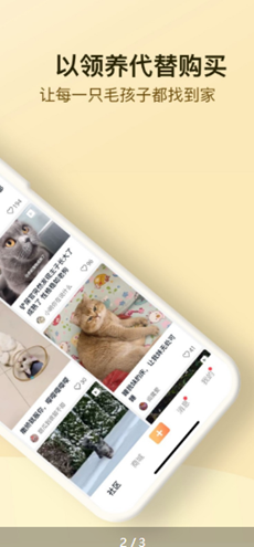 小萌猫app v1.0.2