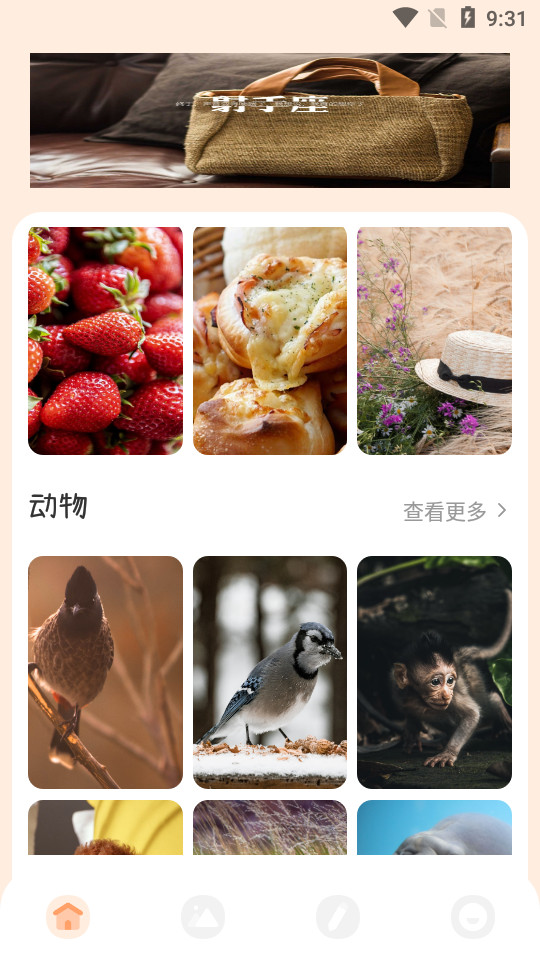 视频动态壁纸app v1.1