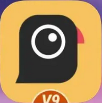 谷歌相机电影版 v2024