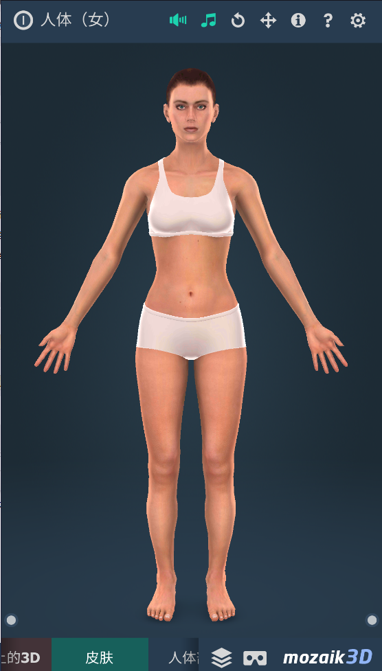 humanbody官方下载2025(Human body (female)) v1.0