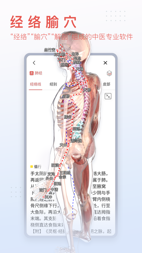 3Dbody解剖app v8.8.83