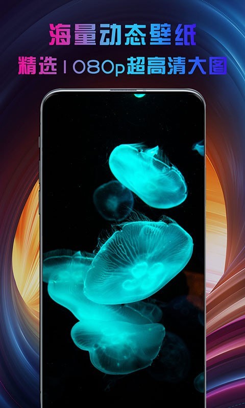 灵猫动态壁纸app v1.0