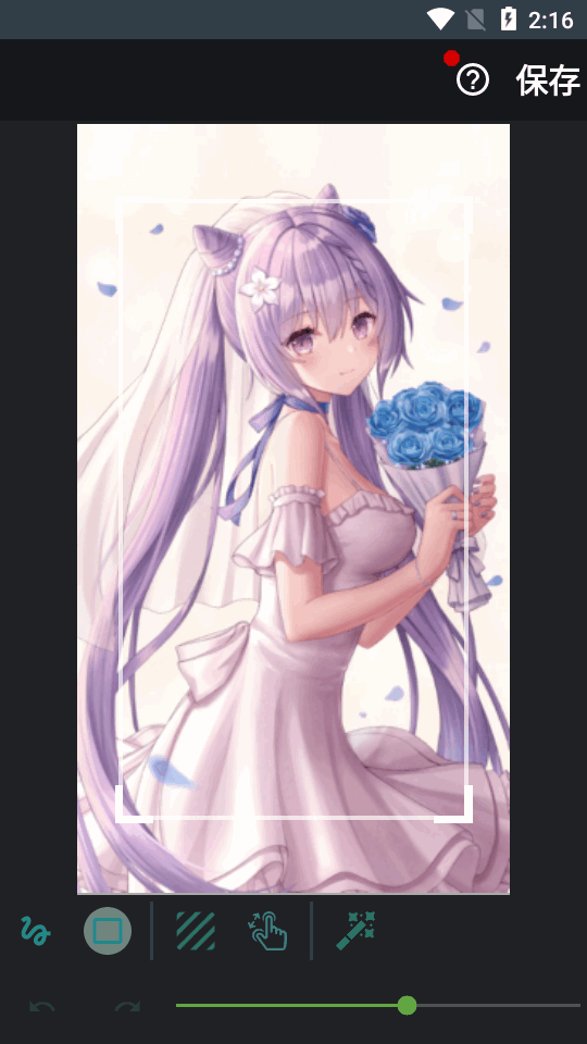 模糊视频和图片打码软件(Blur Video & Image)