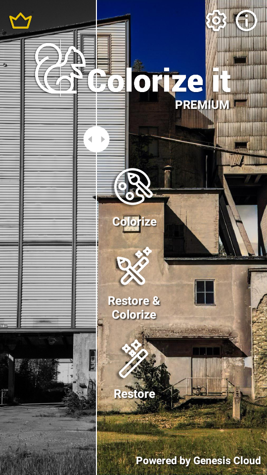 colorize it免费版 v2.1.8