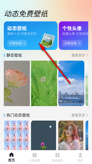 动态免费壁纸手机版