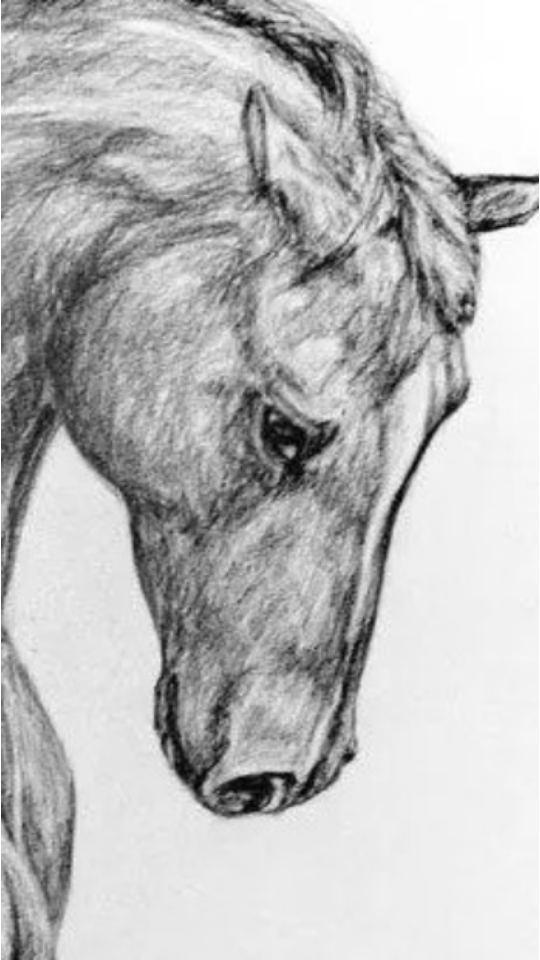 prompt ai作画软件 v1.2