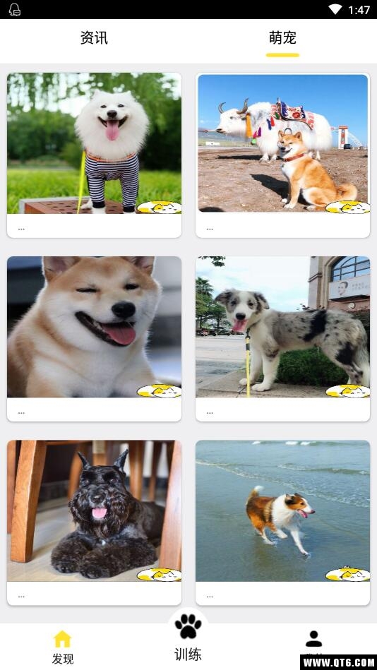 训狗养狗助手 3.8.4安卓版 v3.8.4