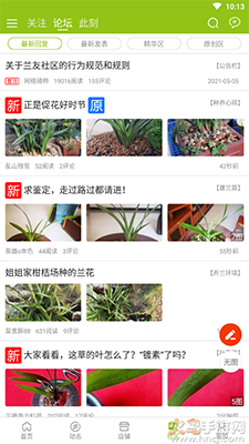 中国兰花交易网app兰花拍卖 v6.3.6