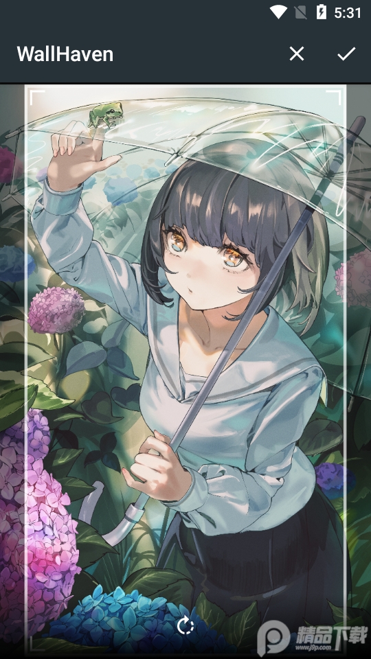 WallHaven手机中文版 v6.6.6