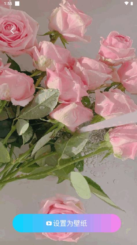 动听铃声手机版 v1.2.7