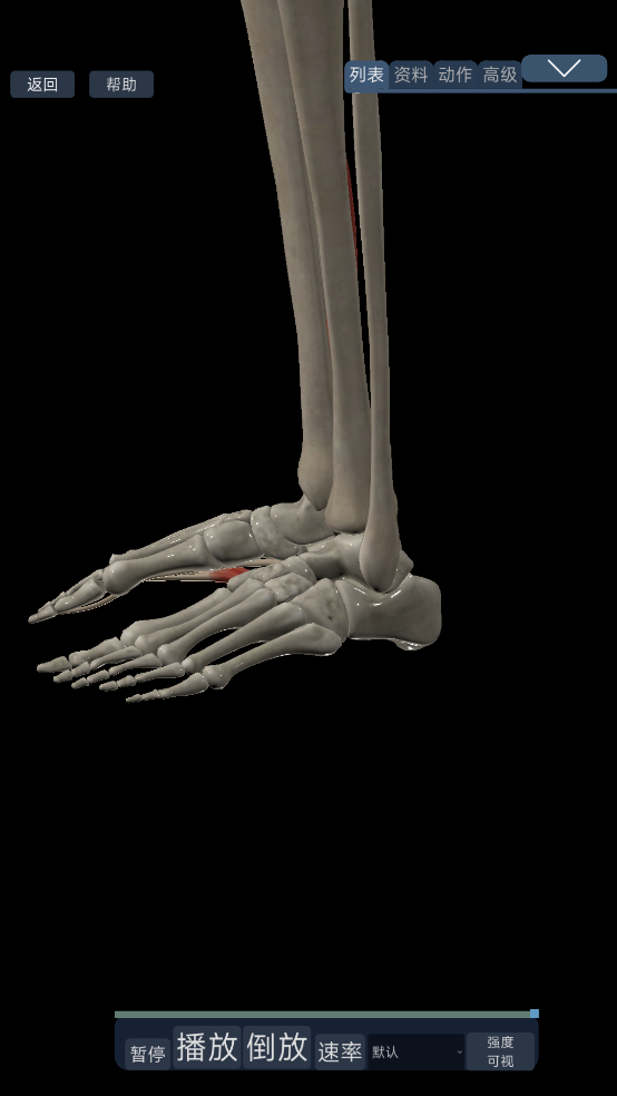 3d运动解剖下载手机版 v3.04