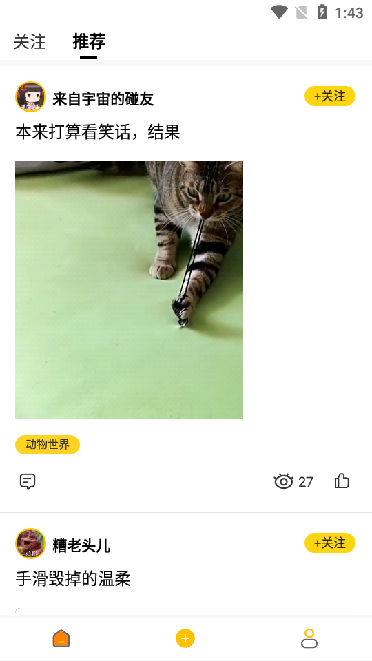 碰哈app v1.0.0