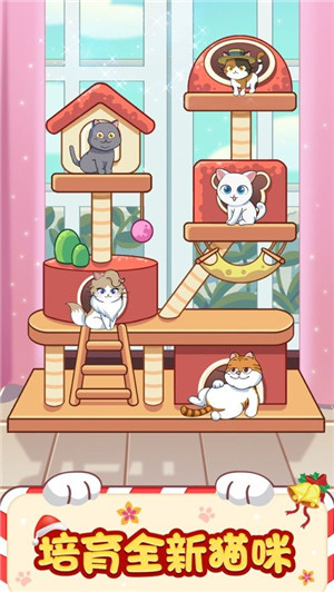 招财猫舍app v1.0.9.1
