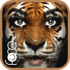 变脸大咖APP v3.83