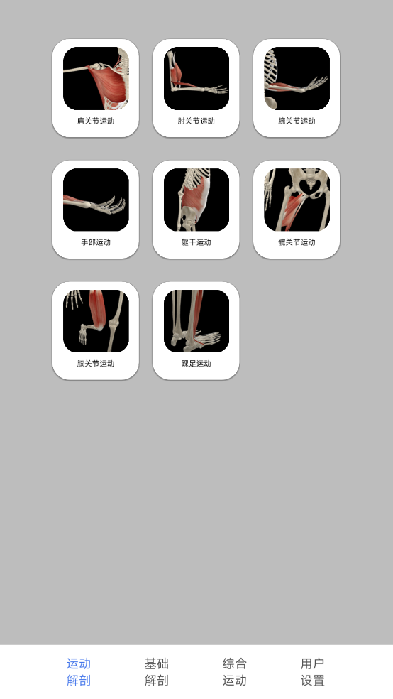 3d运动解剖下载手机版 v3.04