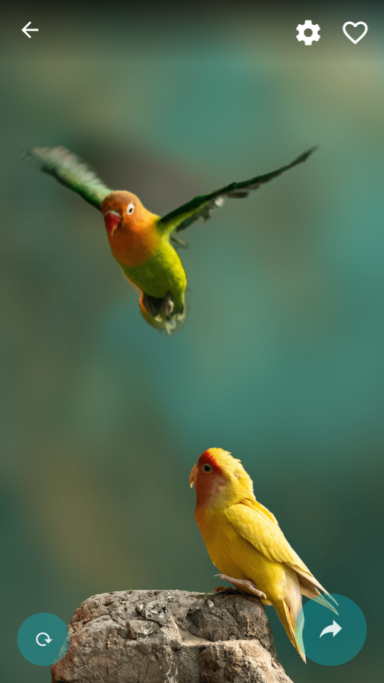 Parallax3d动态壁纸 v1.5.2.2