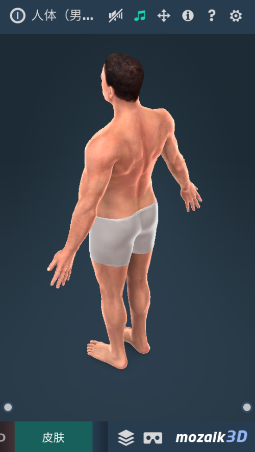 Humanbodymale软件 v1.24