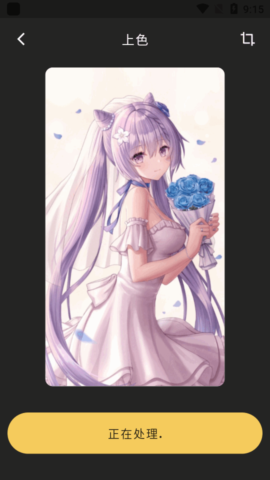 Colorizer老照片修复app专业版 Colorizer老照片修复app专业版