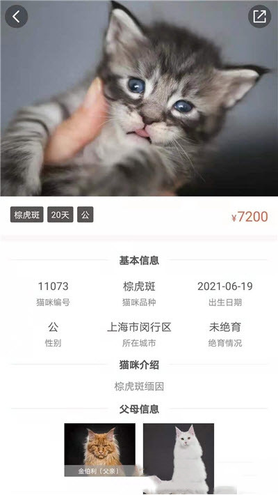 家连猫舍app v1.1.5