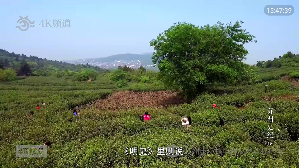 草莓电视tv版 v6.2.1