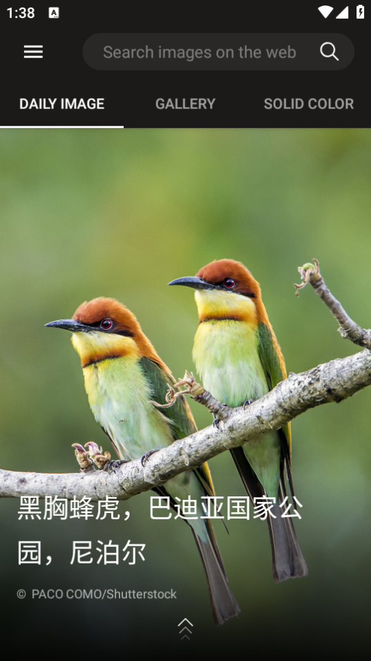 必应壁纸app v12.0.47470801