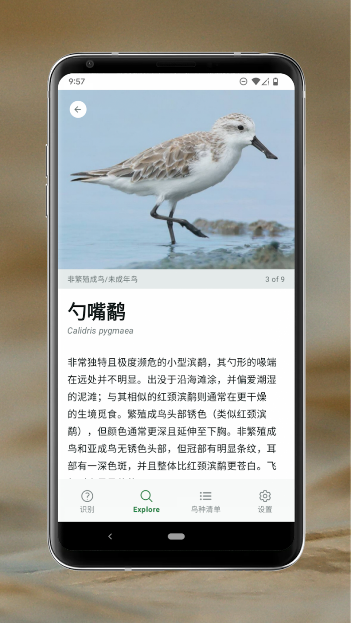 Merlin Bird ID安卓版 v3.11