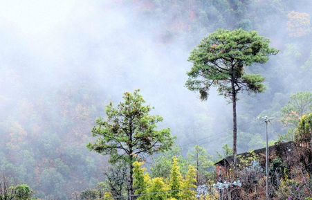 谷歌相机MGC通用版最新版