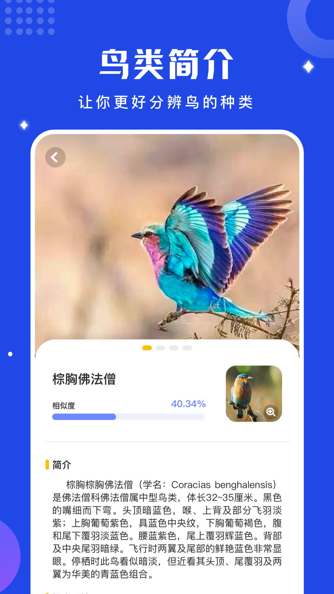 鸟语语言翻译器官方版(鸟语翻译器) v1.13