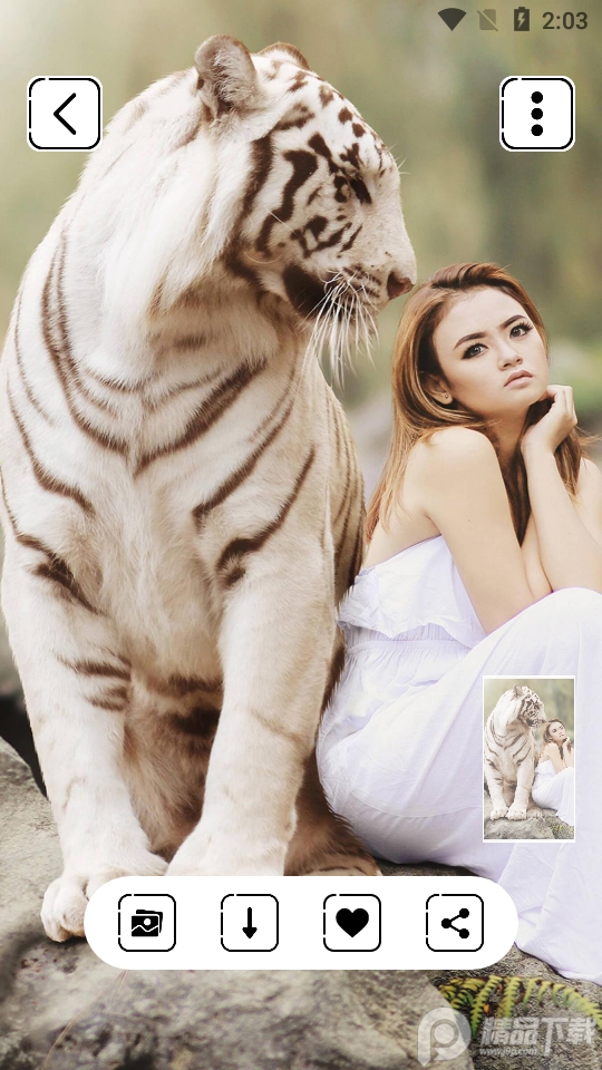 hd壁纸app安卓专业免费版 v4.43