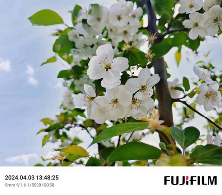 谷歌相机75合1安装包最新版 谷歌相机75合1安装包最新版