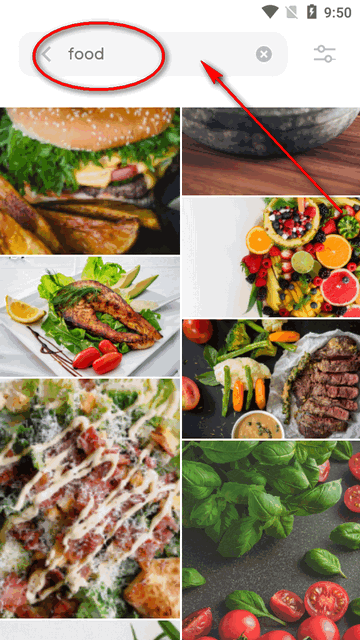 Pexels视频素材app最新版 Pexels视频素材app最新版