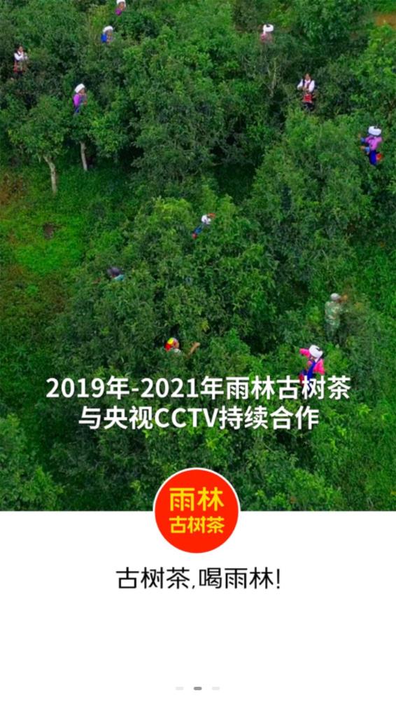 雨林易购app v6.1.11