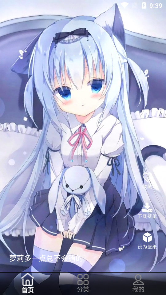 wallpaper壁纸 v2.2