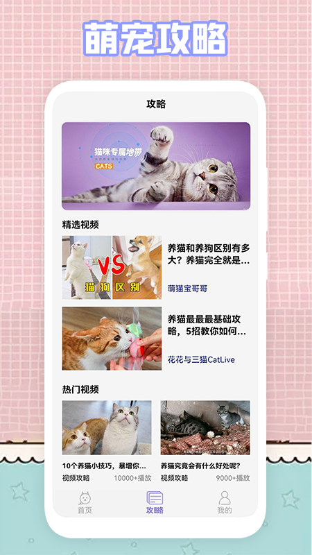 我的猫咪app v1.1