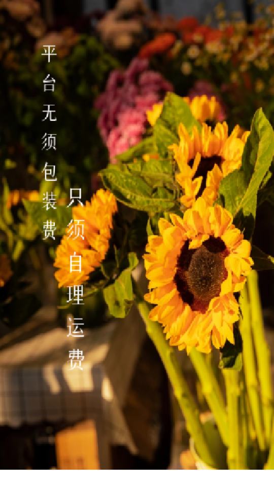 批花网鲜花订购app手机版 v1.0.4