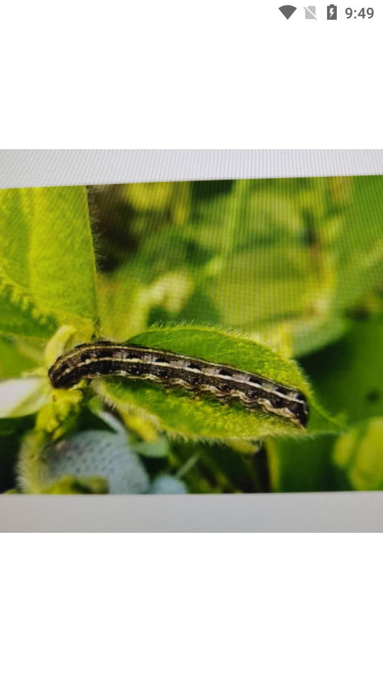 岁月相册时光故事相册app v0.1.021